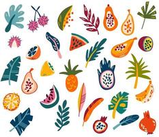 Tropical fruits and leaves. Organic fruits or vegetarian food. Natural sweet fruit, Vegan kitchen. Healthy food and vitamins. Vector cartoon illustration.