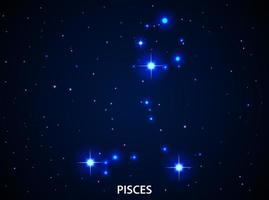 Set of Symbol Zodiac Pisces vector