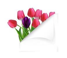 Tulips flowers with folded paper vector