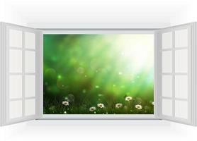 Open window of daisies in a meadow vector