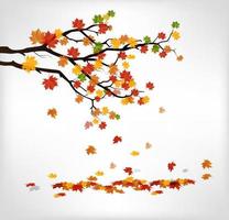 Autumn branch with falling leaves vector