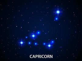 Set of Symbol Zodiac Capricorn vector