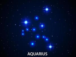 Set of Symbol Zodiac Aquarius vector