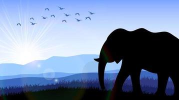 Elephant in the field at dawn. Vector