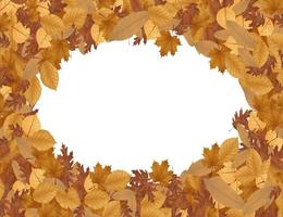 Illustration vector of autumn background with dried leaves