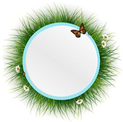 Circle frame with green grass,sunlight and batter-fly