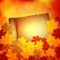 Autumn background with leaves and a paper. Vector