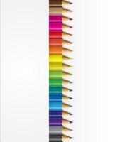 Collections of pencils colour with white background. vector illustration