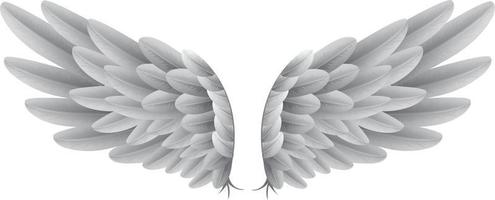 Natural white goose wings with background. Isolation vector