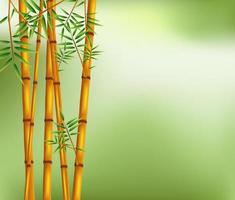 árbol de bambú sobre fondo verde vector