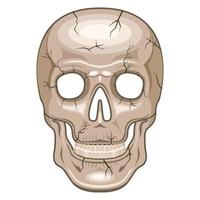 cráneo humano vista frontal estilo de dibujos animados aislado fondo blanco vector