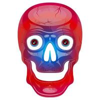 cráneo humano colorido vidrio vista frontal aislado fondo blanco vector