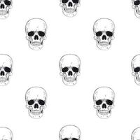 Human skeleton hand drawing seamless pattern.  human skull seamless backround. vector