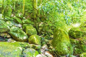 Rocks boulders trees natural tropical jungle forest Ilha Grande Brazil. photo