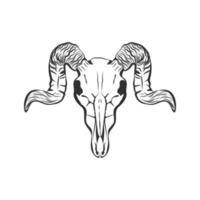 Ram skull hand drawn vector sketch.