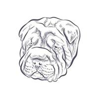 Shar Pei dog head vector sketch.