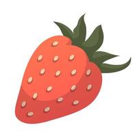 Realistic fresh strawberries against white background - Vector