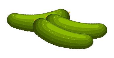 Realistic ripe fresh cucumber on white background - Vector