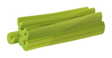 Realistic fresh ripe celery isolated on white background - Vector