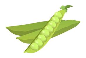 Realistic fresh ripe pea pod isolated on white background - Vector