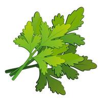 Realistic fresh parsley leaves on white background - Vector