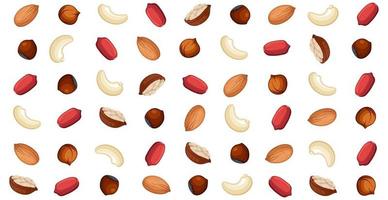 Panoramic walnut pattern, different varieties of nuts - Vector