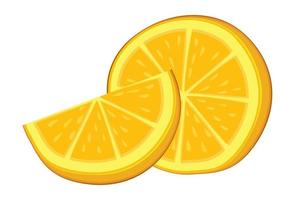 Realistic fresh ripe orange isolated on white background - Vector