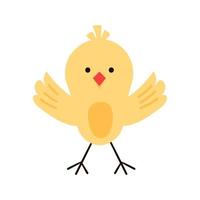 cute yellow easter chicken sitting waiting for easter. isolated on white vector