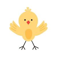 cute yellow easter chicken sitting waiting for easter. isolated on white vector