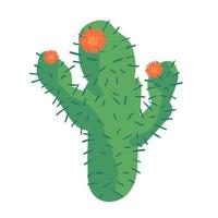 cactus hogar naturaleza vector ilustración de planta verde árbol cactáceo con flor. aislado en blanco dibujo a mano