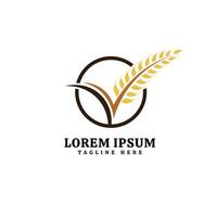 letra v con logotipo de hoja, icono de símbolo de producto alimenticio de grano orgánico natural, marca con grano de trigo orgánico natural vector