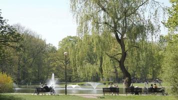 parco primaverile di wroclaw in polonia. le persone si rilassano su una panchina e camminano lungo il lago video