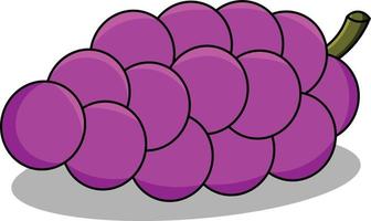 ilustración vectorial de uvas frescas para productos de libros infantiles o necesidades de diseño. vector