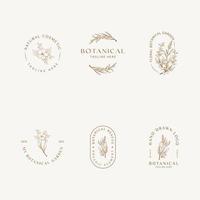 Botanical Floral element Hand Drawn Logo with Wild Flower and Leaves. Logo for spa and beauty salon, boutique, organic shop, wedding, floral designer, interior, photography, cosmetic. vector