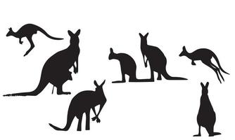collection of kangaroo vector illustration design