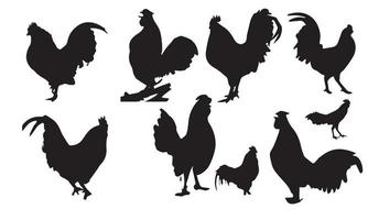 diseño de ilustración de vector de pollo colección en blanco y negro