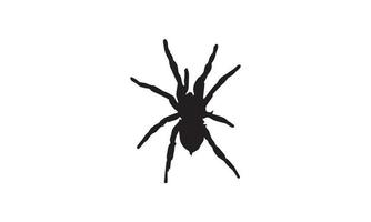 diseño de ilustración de vector de araña en blanco y negro