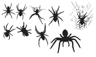 diseño de ilustración de vector de araña colección en blanco y negro