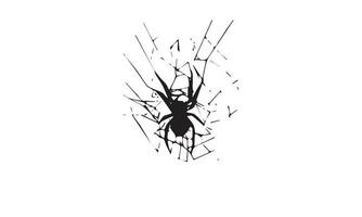 spider vector illustration design black and white