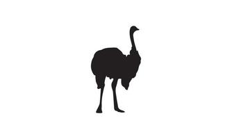 diseño de ilustración vectorial de avestruz en blanco y negro vector