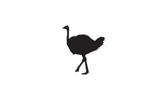 ostrich vector illustration design black and white