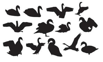 diseño de ilustración vectorial de cisne colección en blanco y negro vector