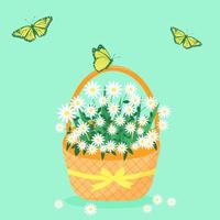 margaritas en una cesta de mimbre y mariposas voladoras. canasta de flores de primavera con chamomiles blancos. vector