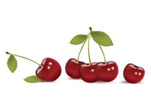 cherry fruit leave