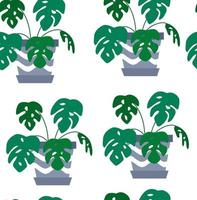 Exotic seamless pattern tropical houseplant in a flower pot. vector