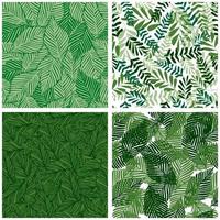 Set of jungle leaf rain forest seamless pattern. vector