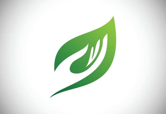 Leaf icon sign symbol, green logo, Organic logo
