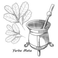 concepto de calabaza y bombilla para bebida de yerba mate aislada vector