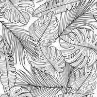 Monstera line leaves seamless pattern on white background. vector