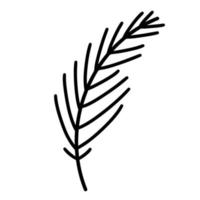 Coniferous tree branch vector icon. Hand-drawn illustration isolated on white background. Evergreen sprig of pine, fir, cedar, spruce with thorns. Botanical sketch of a seasonal plant